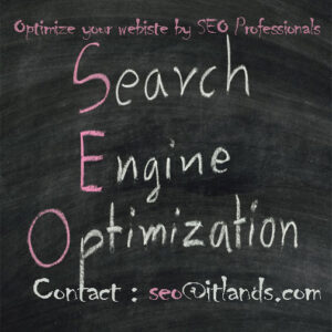 Optimize your website by SEO Professionals